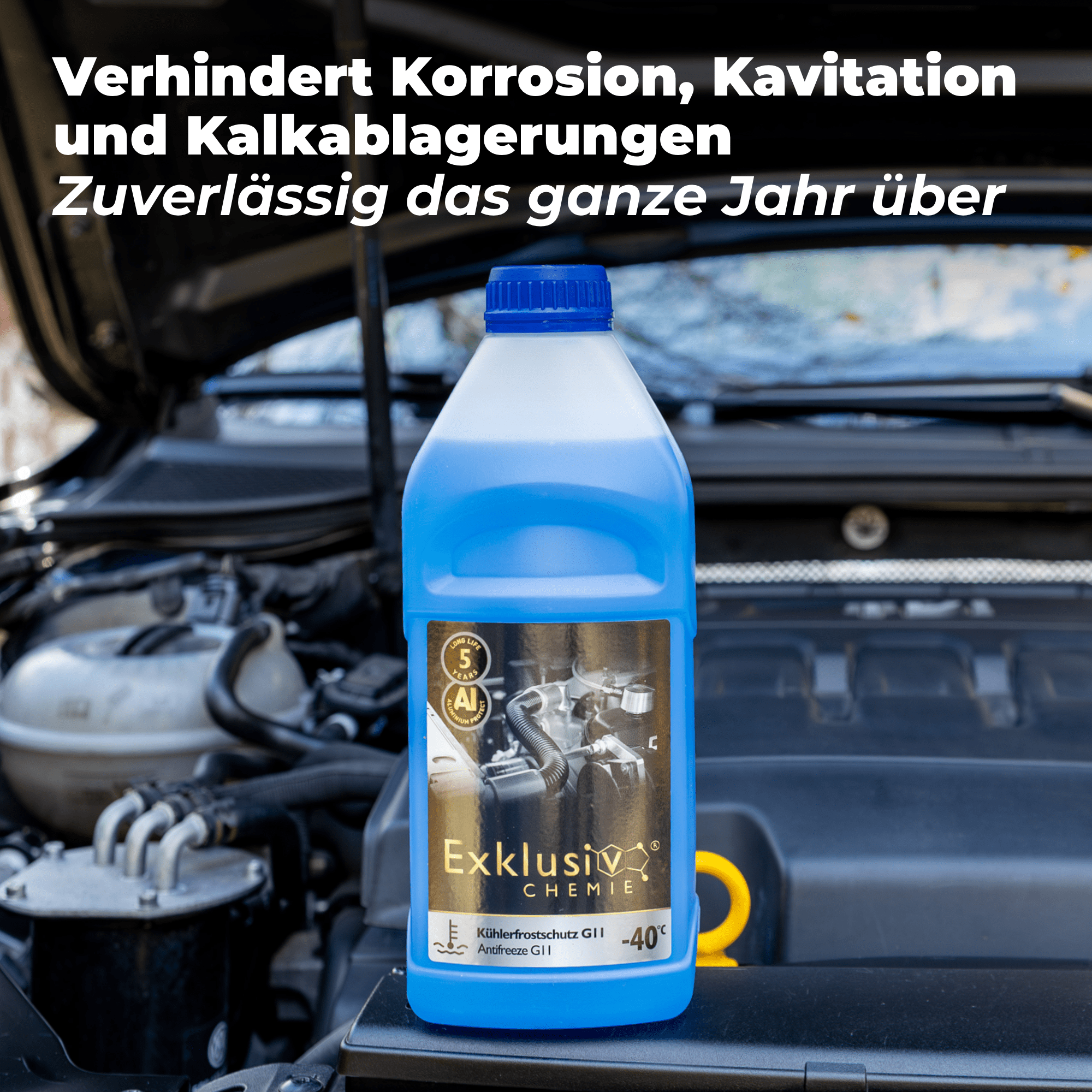 Coolant / Antifreeze G12+ | 1 liter