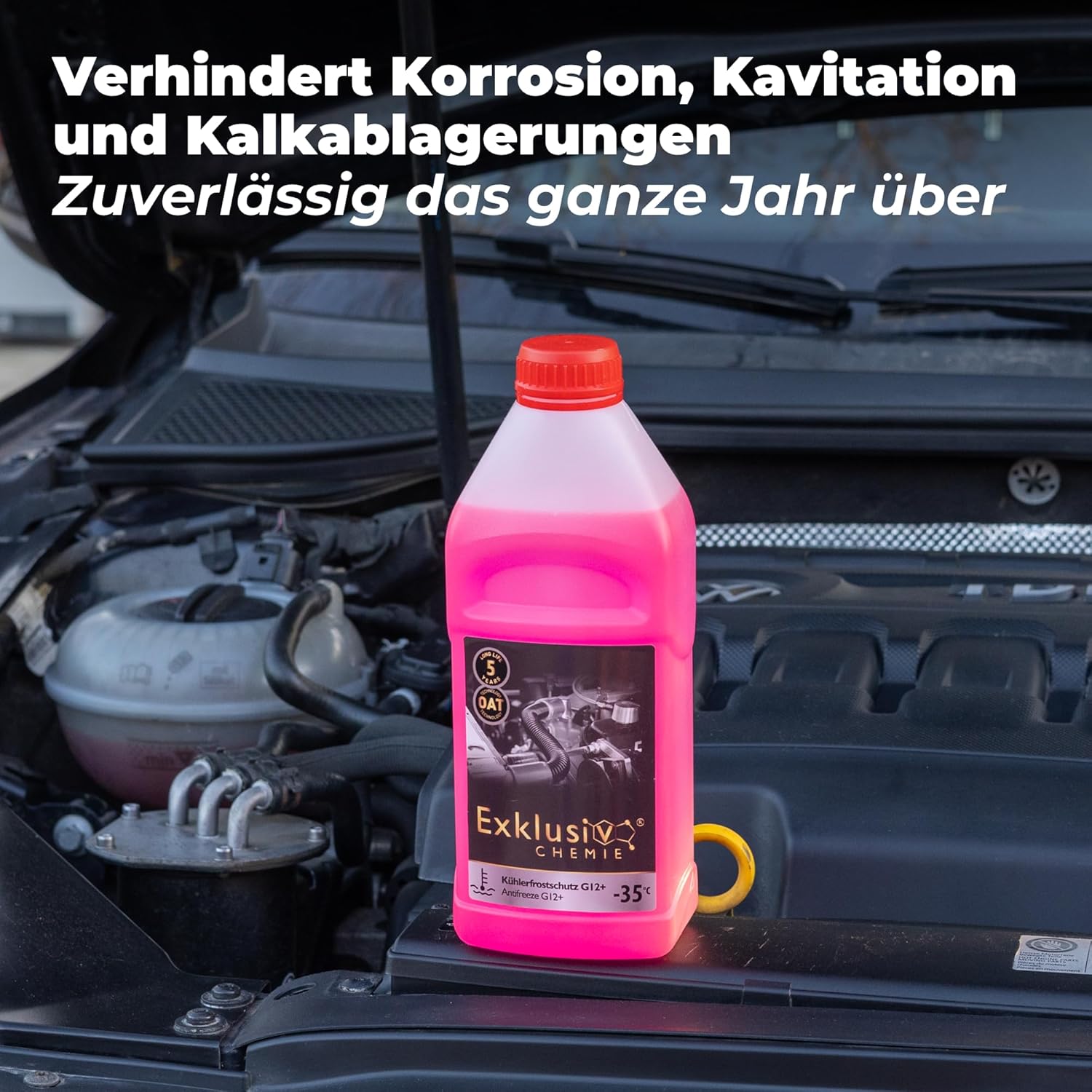 Coolant / Antifreeze G12+ | 1 liter