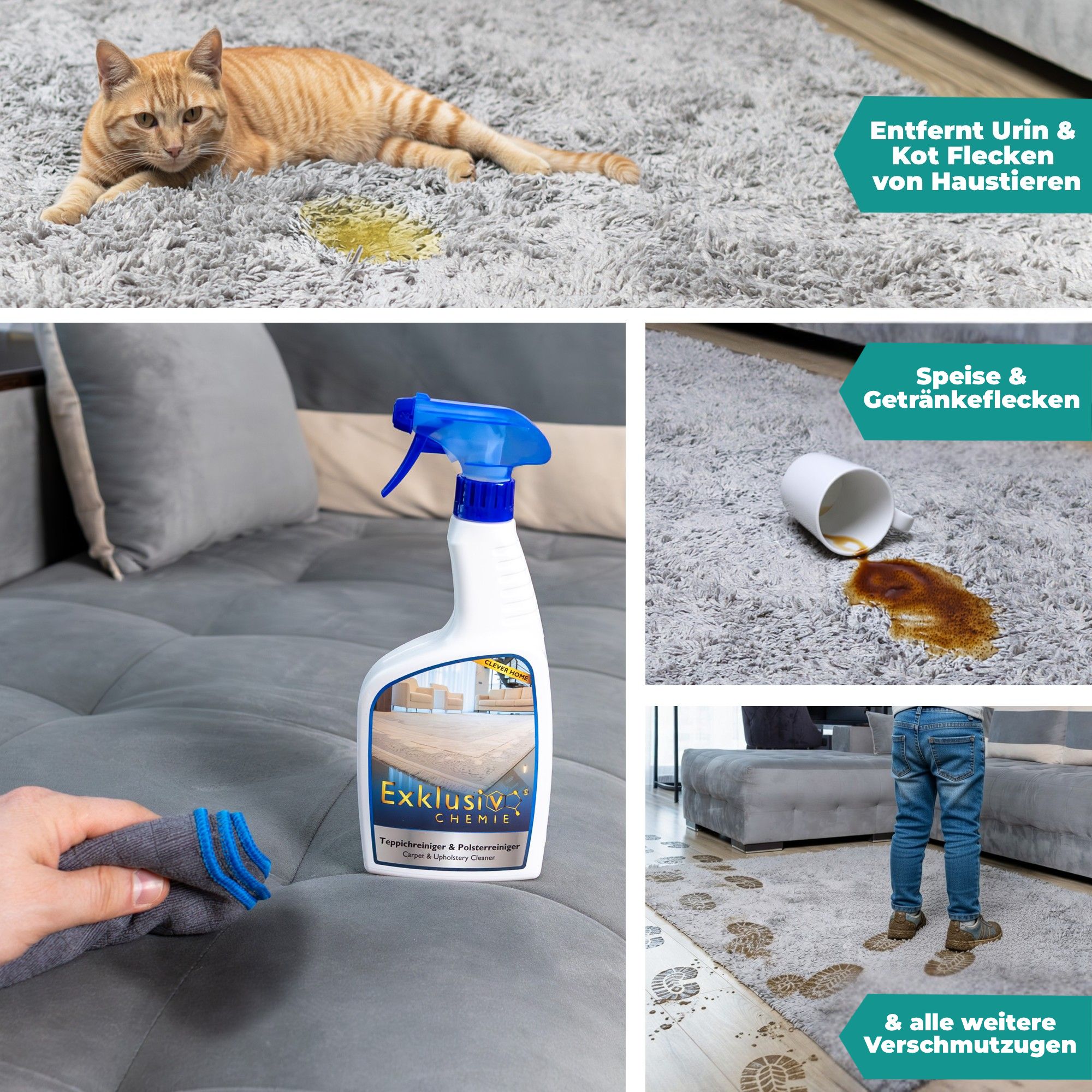 Teppichreiniger & Polsterreiniger 