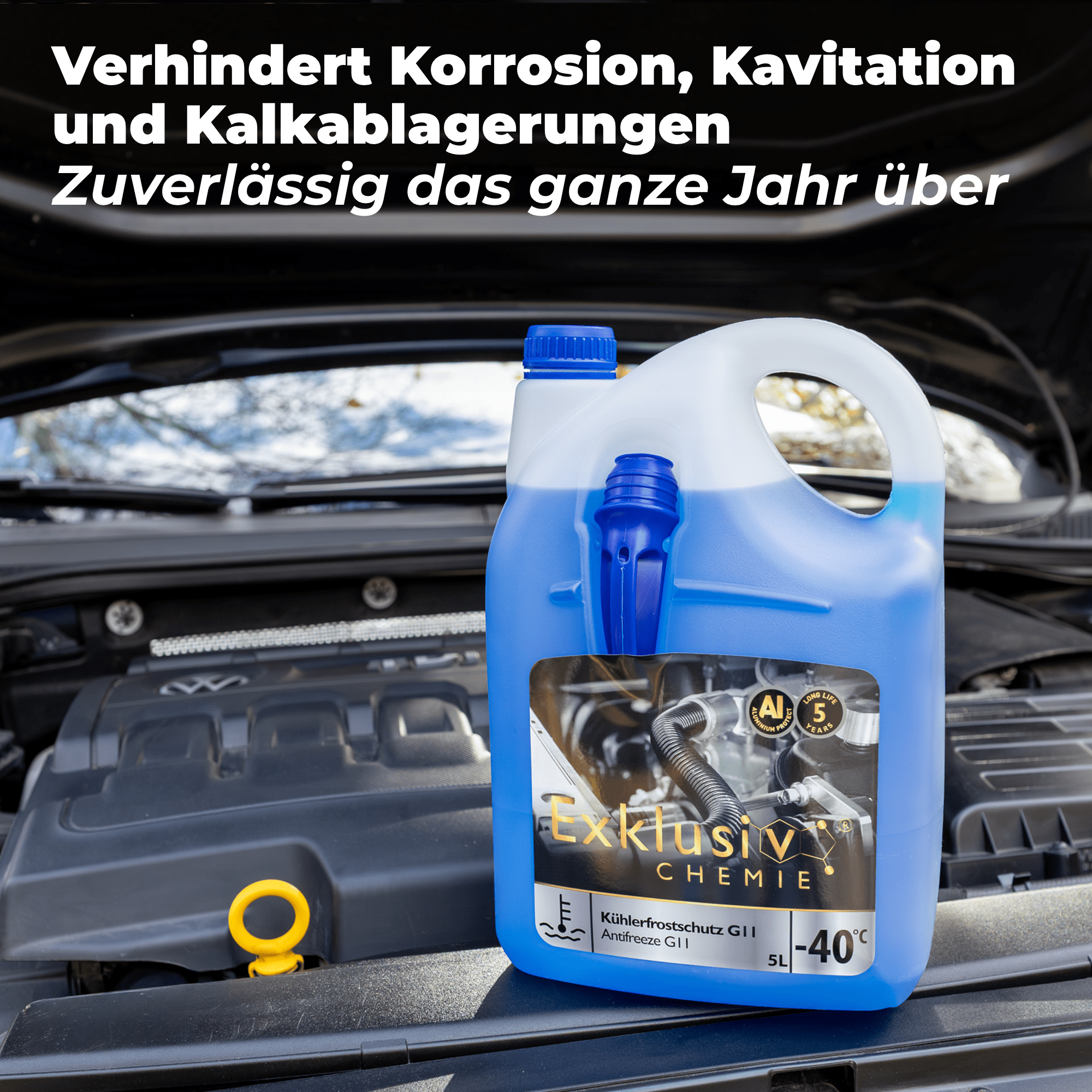 Coolant / Antifreeze G12+ | 5 liters
