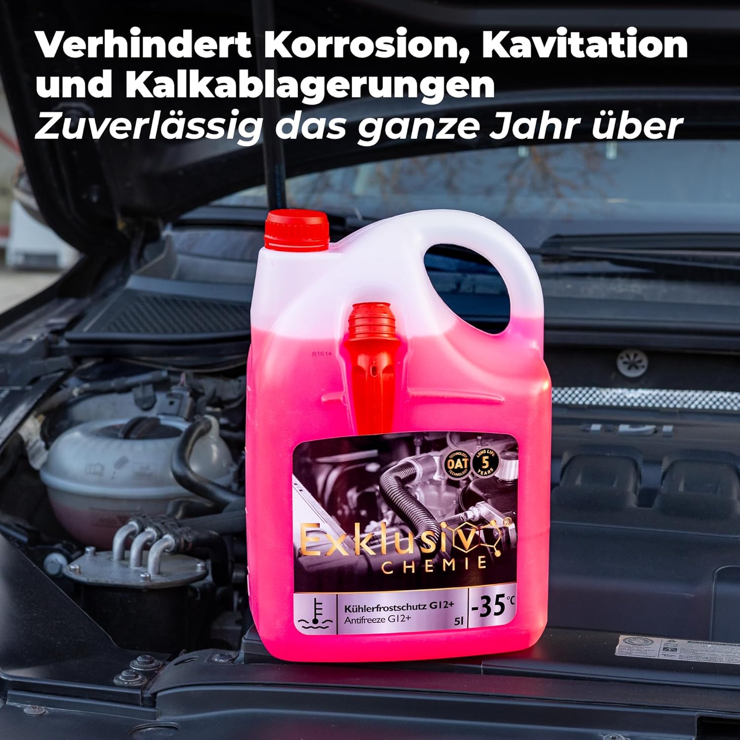 Coolant/Antifreeze G12+ | 5 liters