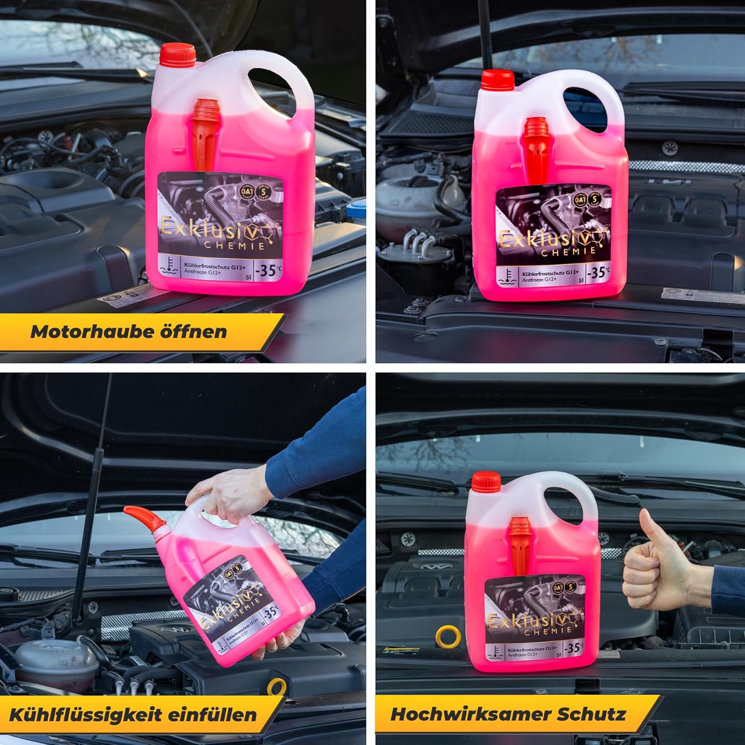 Coolant/Antifreeze G12+ | 5 liters